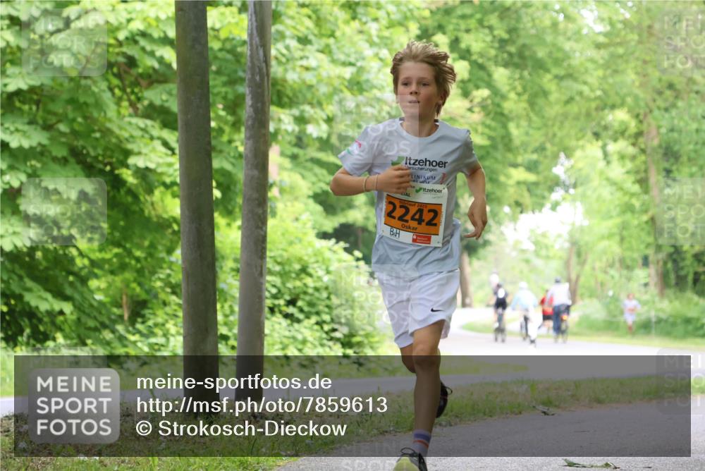 17.05.2025 - Störlauf Strokosch-Dieckow http://msf.ph/oto/7859613 17.05.2025 15:20:38 Laufen 2025, 2242 meine-sportfotos.de