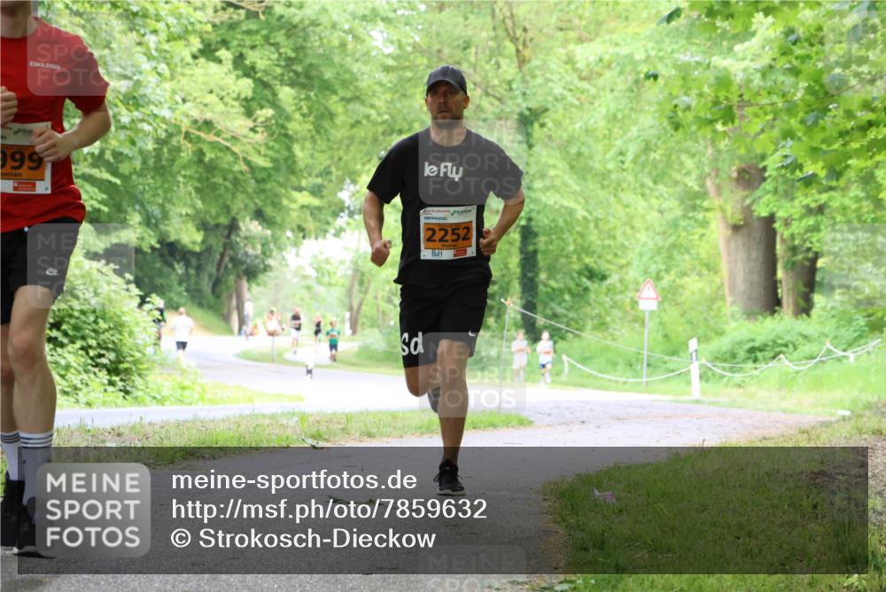 17.05.2025 - Störlauf Strokosch-Dieckow http://msf.ph/oto/7859632 17.05.2025 15:21:10 Laufen 999, 2252 meine-sportfotos.de