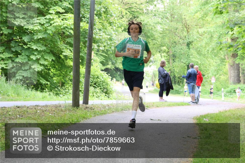 17.05.2025 - Störlauf Strokosch-Dieckow http://msf.ph/oto/7859663 17.05.2025 15:21:42 Laufen 18 meine-sportfotos.de