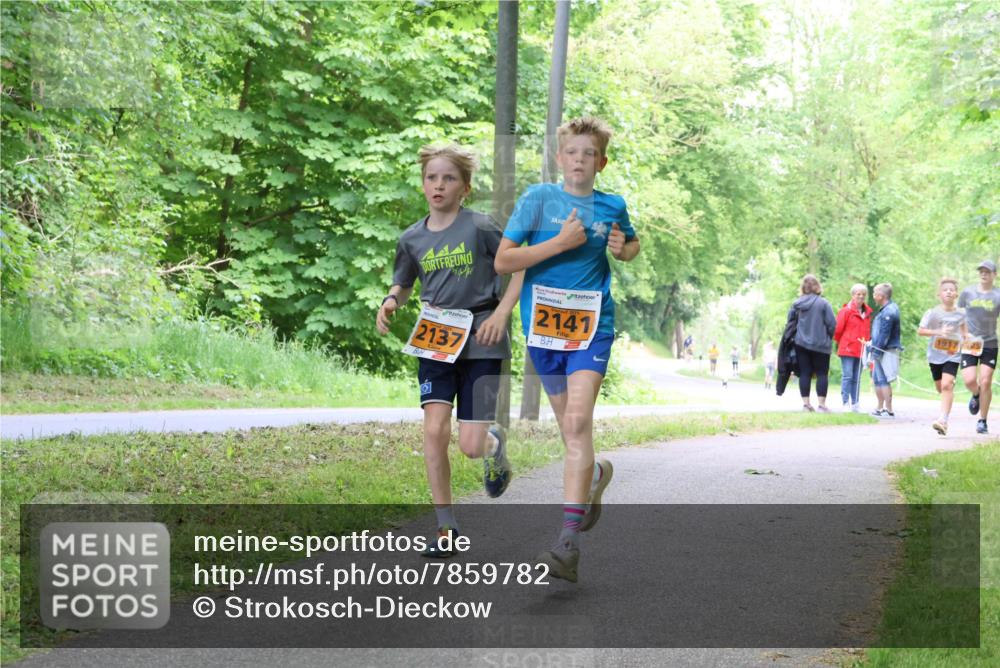 17.05.2025 - Störlauf Strokosch-Dieckow http://msf.ph/oto/7859782 17.05.2025 15:22:31 Laufen 2137, 2141, 1917 meine-sportfotos.de