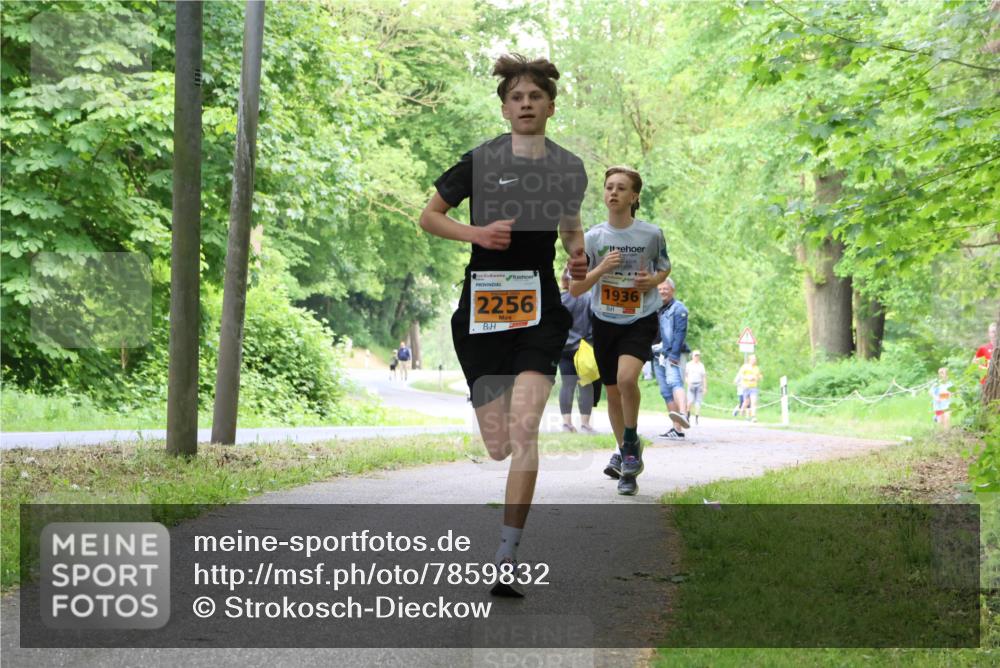 17.05.2025 - Störlauf Strokosch-Dieckow http://msf.ph/oto/7859832 17.05.2025 15:22:49 Laufen 2256, 1936 meine-sportfotos.de