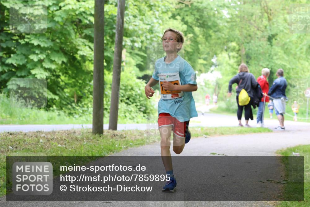 17.05.2025 - Störlauf Strokosch-Dieckow http://msf.ph/oto/7859895 17.05.2025 15:23:03 Laufen 0 meine-sportfotos.de