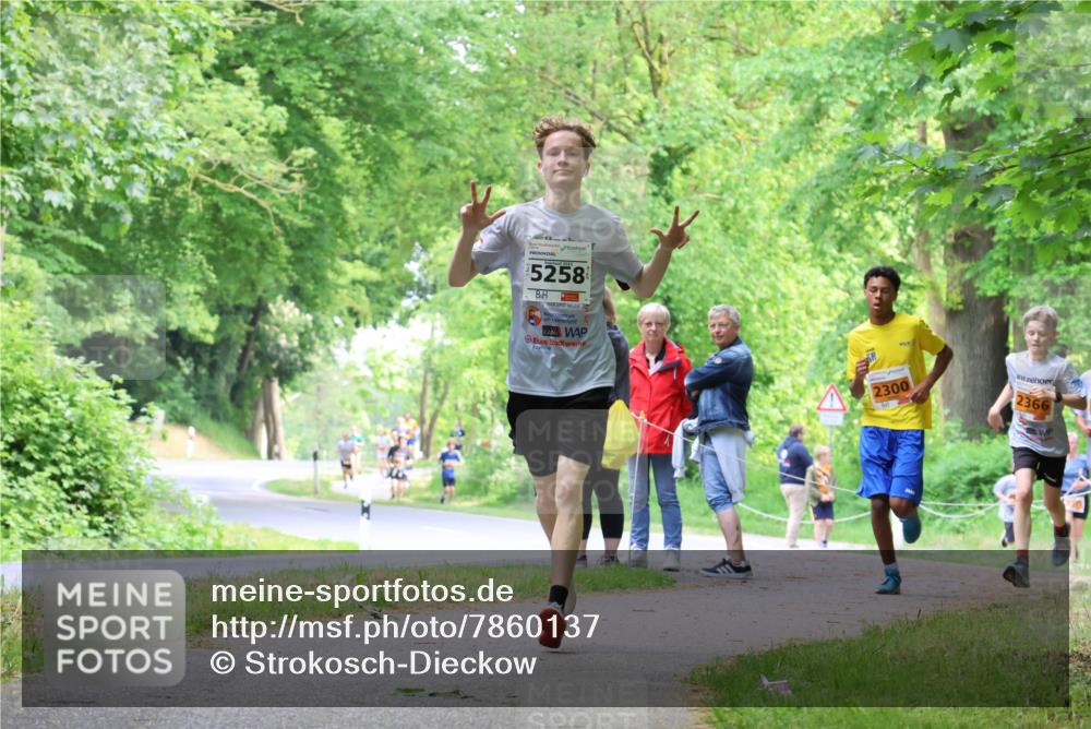 17.05.2025 - Störlauf Strokosch-Dieckow http://msf.ph/oto/7860137 17.05.2025 15:24:12 Laufen 2025, 5258, 2300, 2366 meine-sportfotos.de