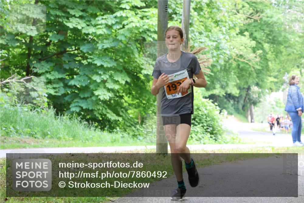 17.05.2025 - Störlauf Strokosch-Dieckow http://msf.ph/oto/7860492 17.05.2025 15:25:33 Laufen 2025, 192 meine-sportfotos.de