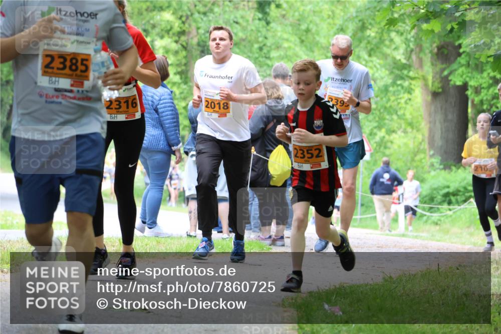 17.05.2025 - Störlauf Strokosch-Dieckow http://msf.ph/oto/7860725 17.05.2025 15:26:12 Laufen 2385, 339, 2316, 2018, 2352, 210 meine-sportfotos.de