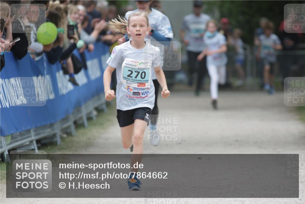 17.05.2025 - Störlauf H.Heesch http://msf.ph/oto/7864662 17.05.2025 13:41:48 Ziel  meine-sportfotos.de