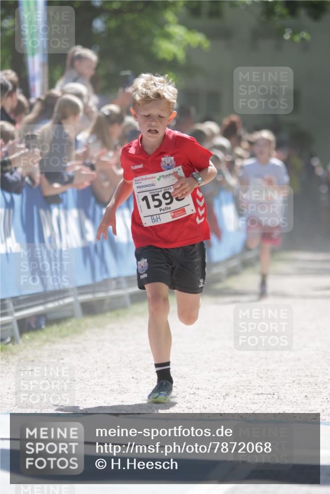 17.05.2025 - Störlauf H.Heesch http://msf.ph/oto/7872068 17.05.2025 14:41:32 Ziel  meine-sportfotos.de