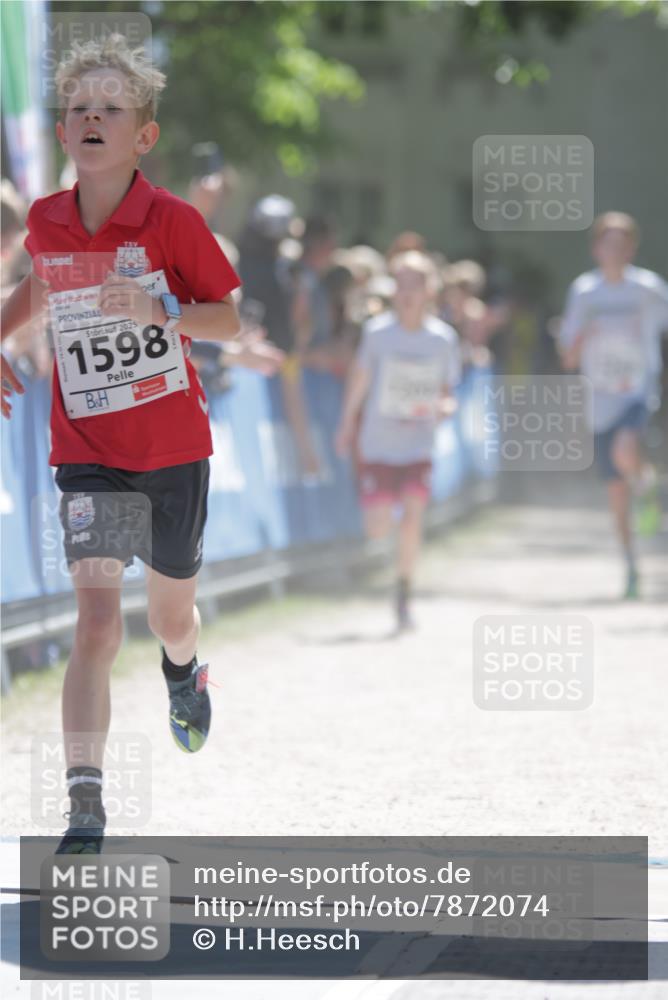 17.05.2025 - Störlauf H.Heesch http://msf.ph/oto/7872074 17.05.2025 14:41:33 Ziel  meine-sportfotos.de