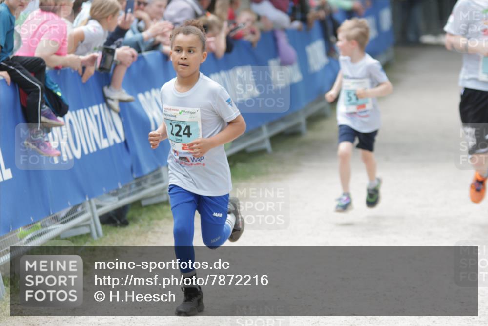 17.05.2025 - Störlauf H.Heesch http://msf.ph/oto/7872216 17.05.2025 13:47:06 Ziel  meine-sportfotos.de