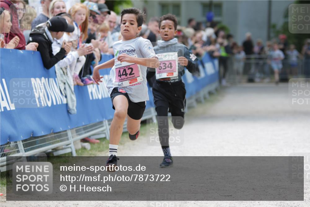 17.05.2025 - Störlauf H.Heesch http://msf.ph/oto/7873722 17.05.2025 13:54:27 Ziel  meine-sportfotos.de