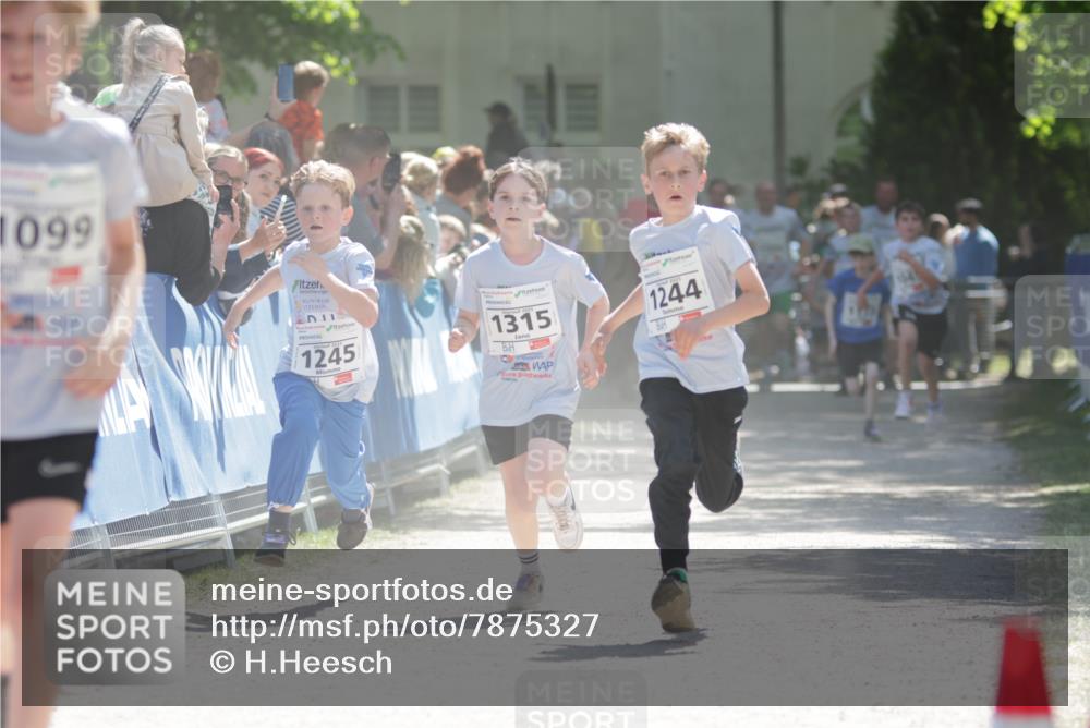 17.05.2025 - Störlauf H.Heesch http://msf.ph/oto/7875327 17.05.2025 14:46:39 Ziel  meine-sportfotos.de