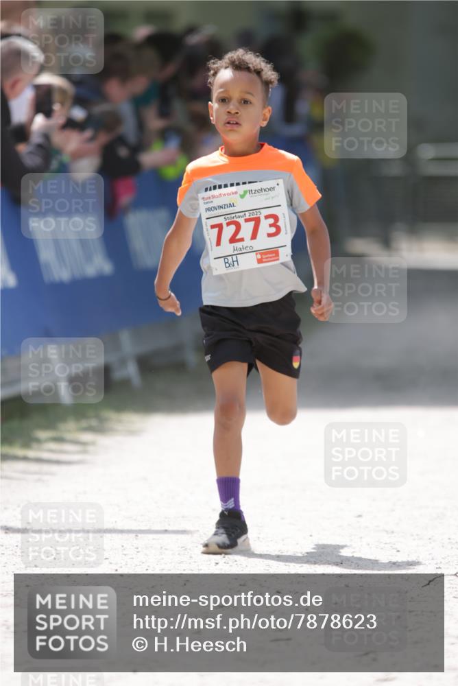 17.05.2025 - Störlauf H.Heesch http://msf.ph/oto/7878623 17.05.2025 13:01:46 Ziel  meine-sportfotos.de