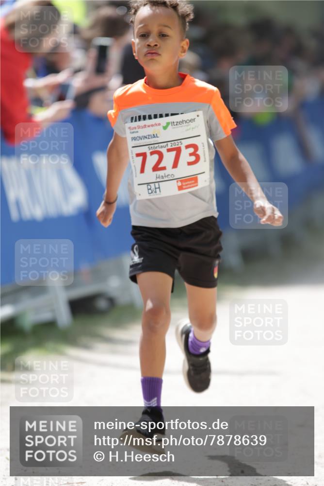 17.05.2025 - Störlauf H.Heesch http://msf.ph/oto/7878639 17.05.2025 13:01:47 Ziel  meine-sportfotos.de