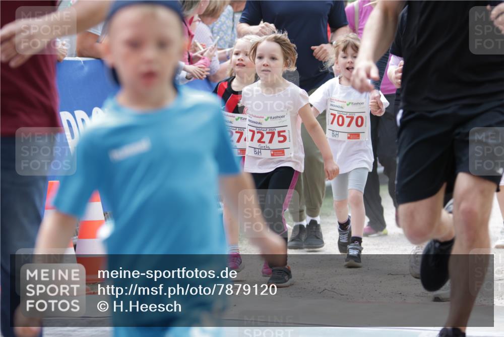 17.05.2025 - Störlauf H.Heesch http://msf.ph/oto/7879120 17.05.2025 13:02:52 Ziel  meine-sportfotos.de
