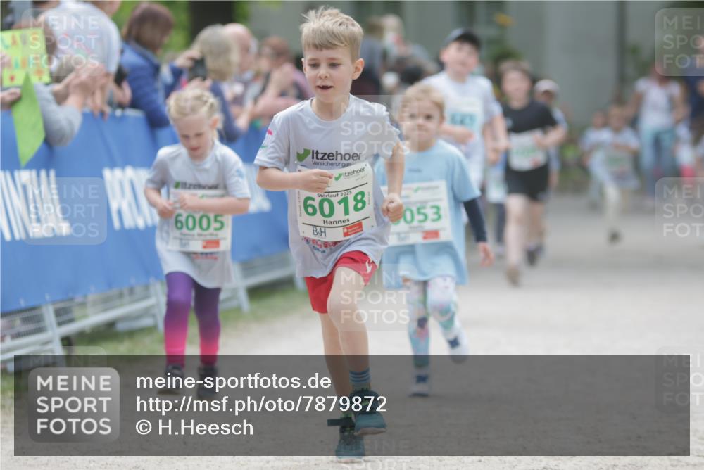 17.05.2025 - Störlauf H.Heesch http://msf.ph/oto/7879872 17.05.2025 13:17:22 Ziel  meine-sportfotos.de