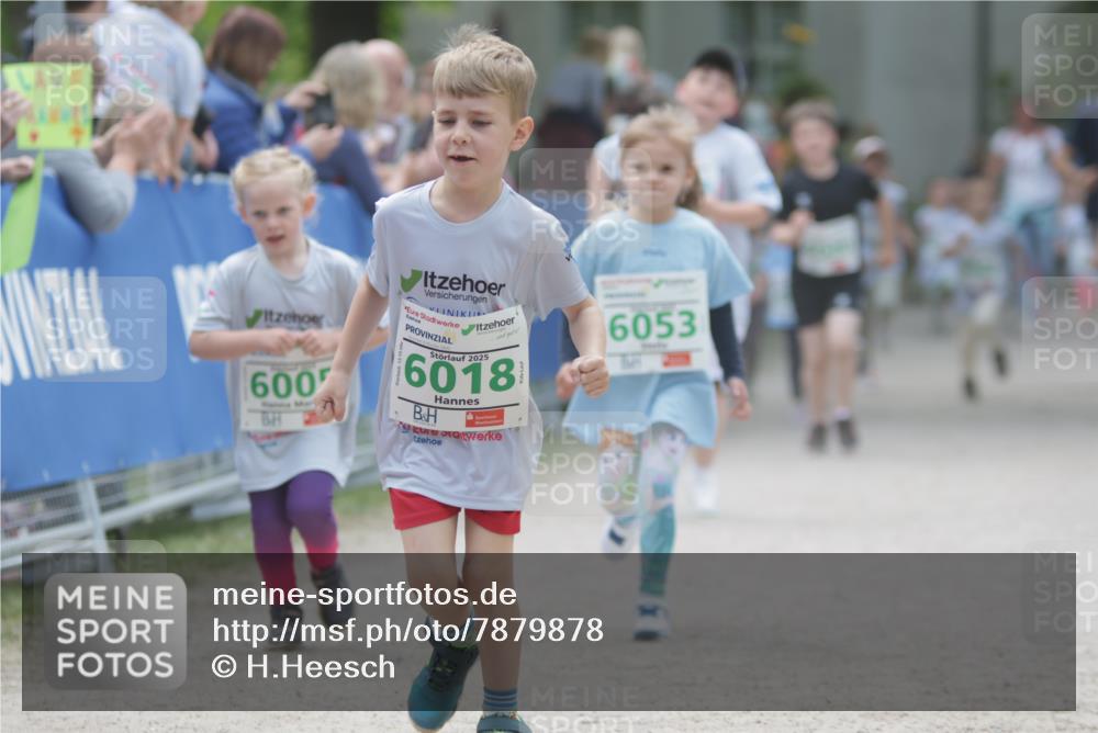 17.05.2025 - Störlauf H.Heesch http://msf.ph/oto/7879878 17.05.2025 13:17:22 Ziel  meine-sportfotos.de