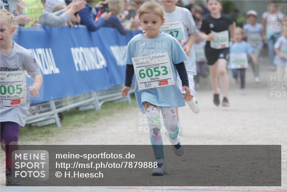 17.05.2025 - Störlauf H.Heesch http://msf.ph/oto/7879888 17.05.2025 13:17:24 Ziel  meine-sportfotos.de