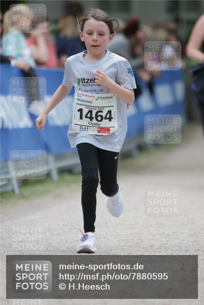 17.05.2025 - Störlauf H.Heesch http://msf.ph/oto/7880595 17.05.2025 15:01:02 Ziel  meine-sportfotos.de