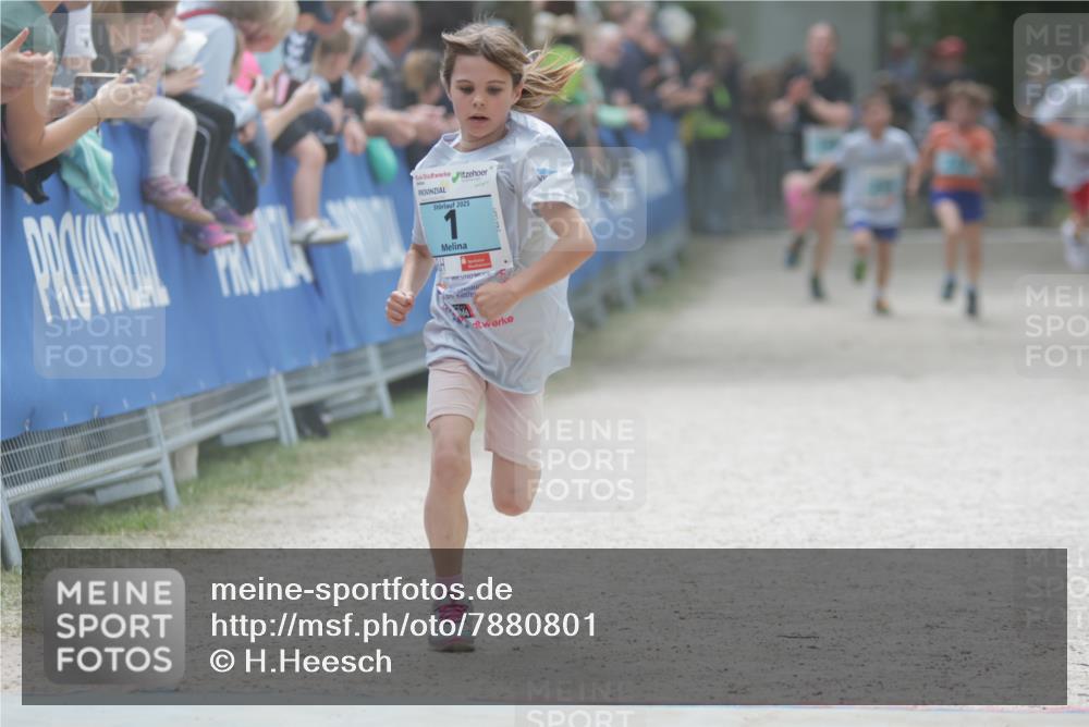 17.05.2025 - Störlauf H.Heesch http://msf.ph/oto/7880801 17.05.2025 13:40:44 Ziel  meine-sportfotos.de