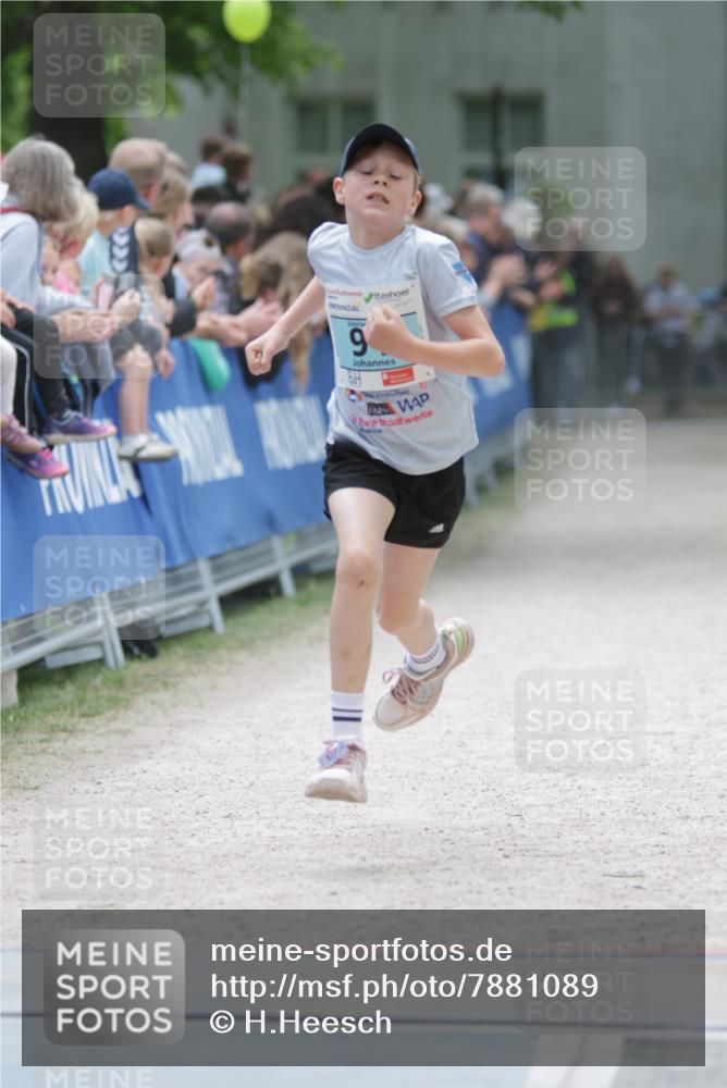 17.05.2025 - Störlauf H.Heesch http://msf.ph/oto/7881089 17.05.2025 13:41:11 Ziel  meine-sportfotos.de