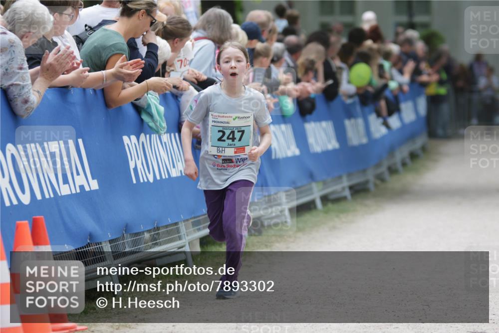 17.05.2025 - Störlauf H.Heesch http://msf.ph/oto/7893302 17.05.2025 13:41:44 Ziel 70, 2025, 247 meine-sportfotos.de