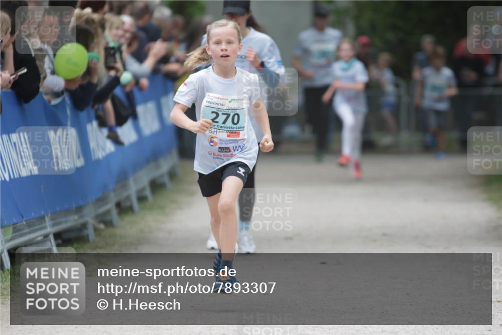 17.05.2025 - Störlauf H.Heesch http://msf.ph/oto/7893307 17.05.2025 13:41:48 Ziel 2025, 270 meine-sportfotos.de