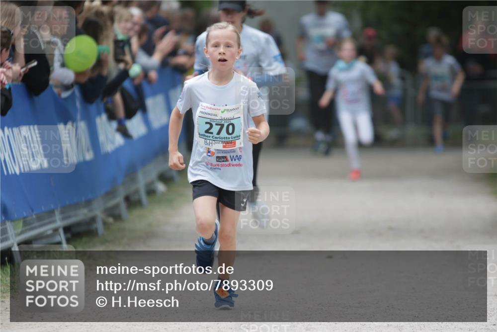 17.05.2025 - Störlauf H.Heesch http://msf.ph/oto/7893309 17.05.2025 13:41:48 Ziel 2025, 270 meine-sportfotos.de