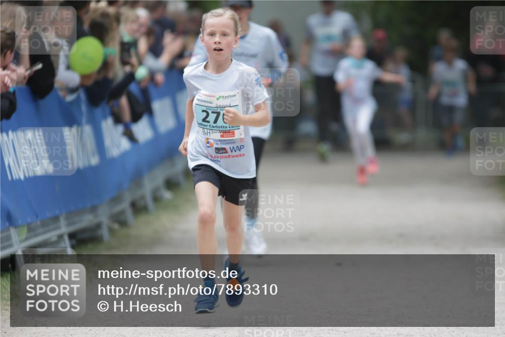 17.05.2025 - Störlauf H.Heesch http://msf.ph/oto/7893310 17.05.2025 13:41:48 Ziel 20, 276, 25 meine-sportfotos.de
