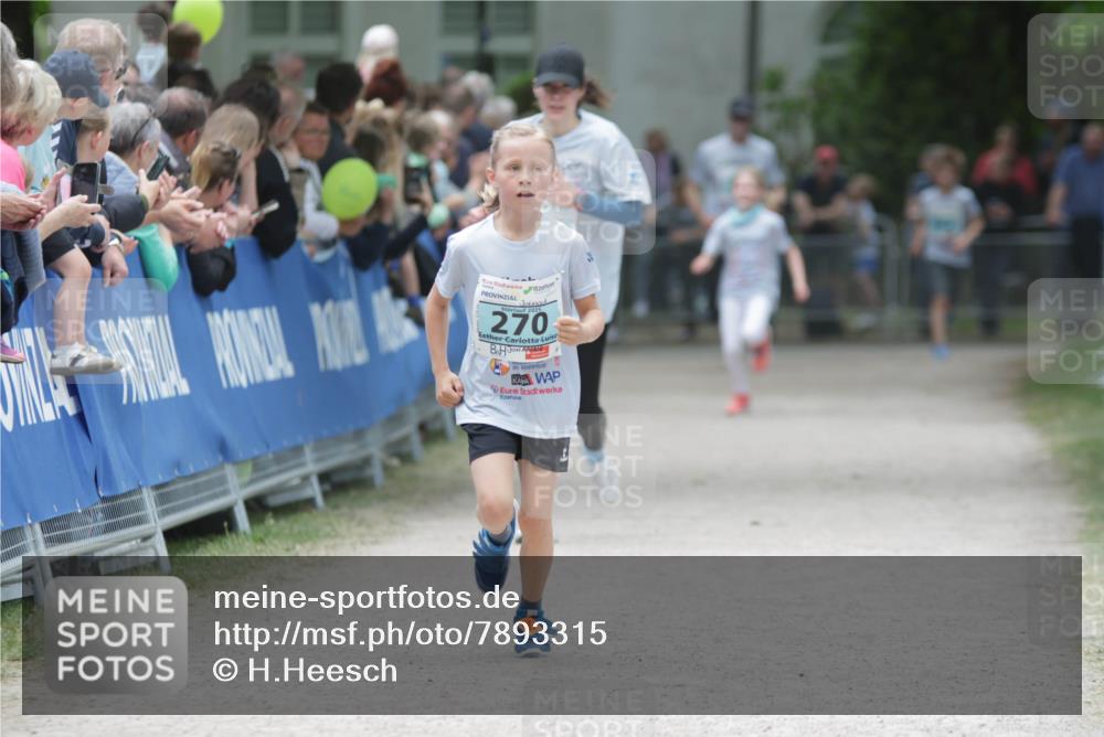 17.05.2025 - Störlauf H.Heesch http://msf.ph/oto/7893315 17.05.2025 13:41:49 Ziel 270, 9 meine-sportfotos.de