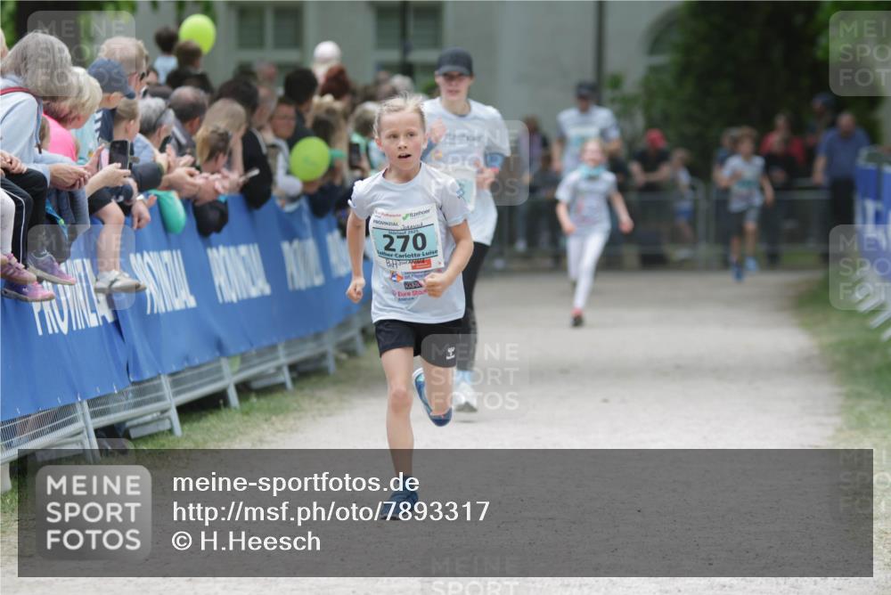17.05.2025 - Störlauf H.Heesch http://msf.ph/oto/7893317 17.05.2025 13:41:49 Ziel 2025, 270 meine-sportfotos.de