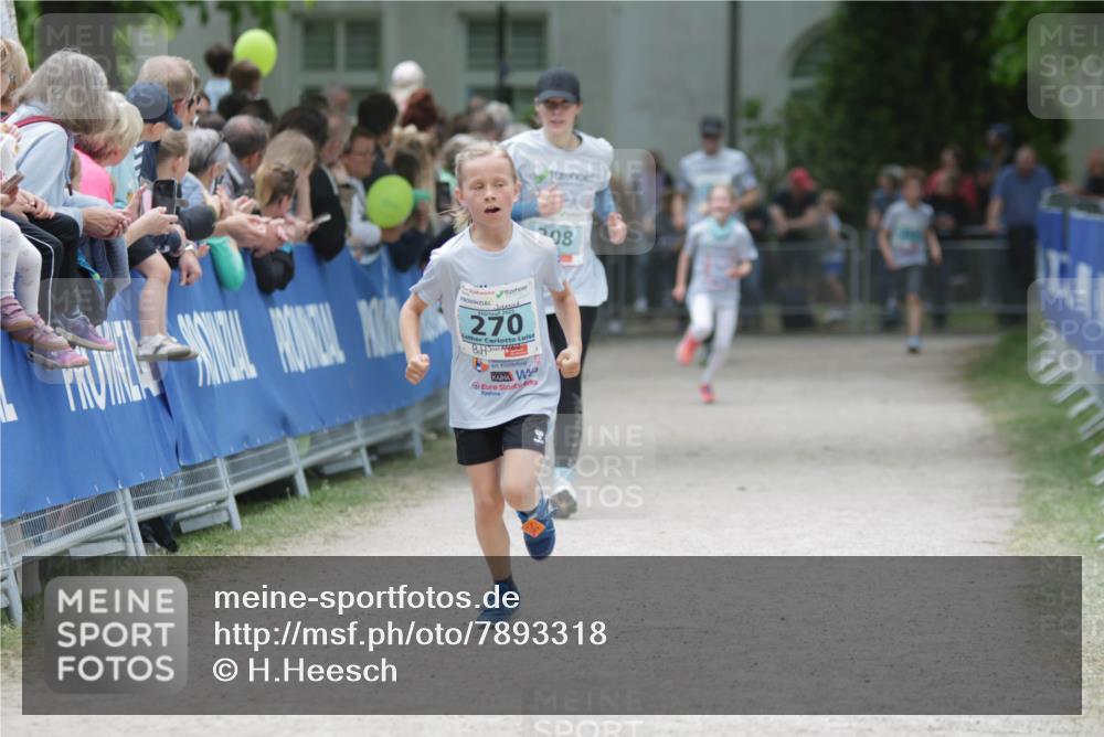 17.05.2025 - Störlauf H.Heesch http://msf.ph/oto/7893318 17.05.2025 13:41:49 Ziel 270, 08 meine-sportfotos.de