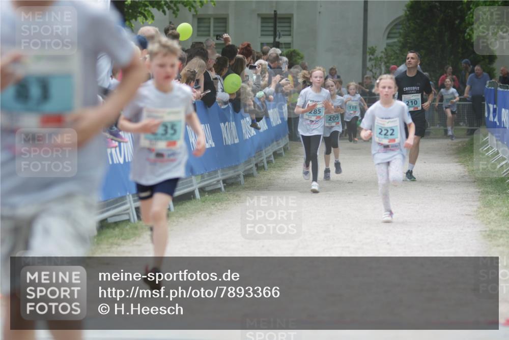 17.05.2025 - Störlauf H.Heesch http://msf.ph/oto/7893366 17.05.2025 13:42:07 Ziel 35, 285, 209, 119, 222, 210 meine-sportfotos.de
