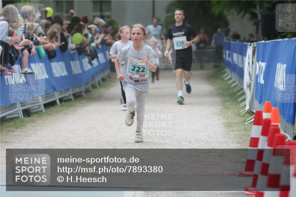 17.05.2025 - Störlauf H.Heesch http://msf.ph/oto/7893380 17.05.2025 13:42:09 Ziel 222, 210 meine-sportfotos.de