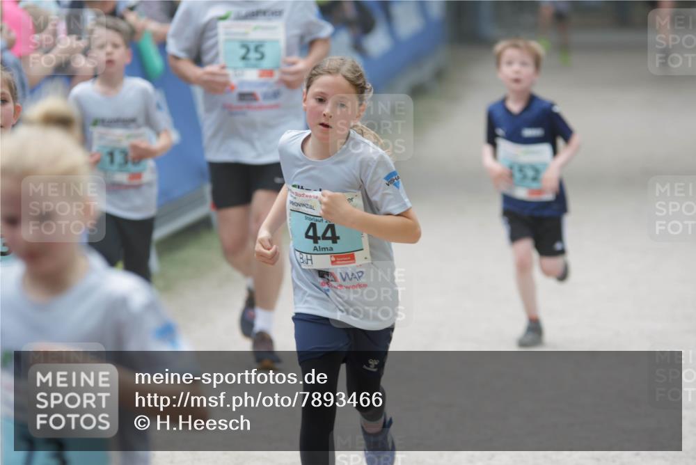 17.05.2025 - Störlauf H.Heesch http://msf.ph/oto/7893466 17.05.2025 13:42:33 Ziel 73, 25, 130, 20, 44 meine-sportfotos.de