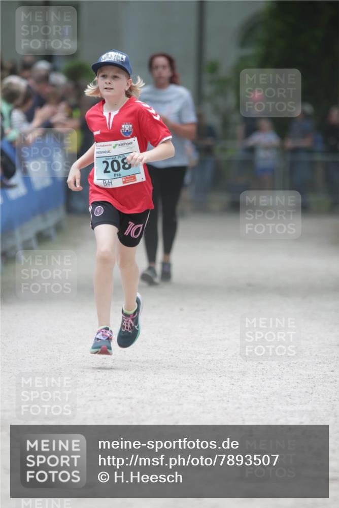 17.05.2025 - Störlauf H.Heesch http://msf.ph/oto/7893507 17.05.2025 13:42:47 Ziel 2025, 208, 110 meine-sportfotos.de