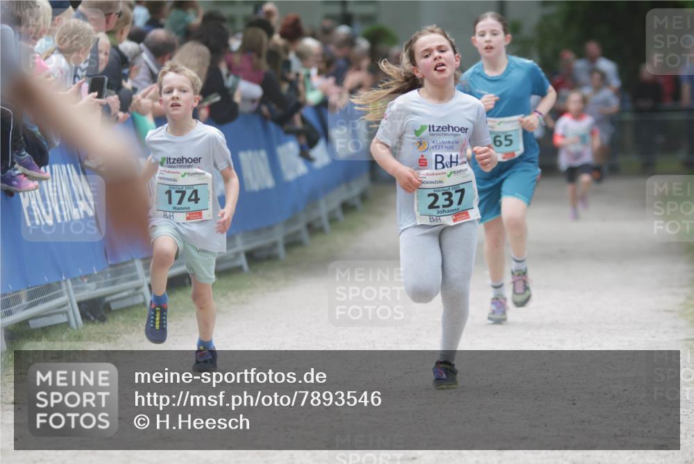 17.05.2025 - Störlauf H.Heesch http://msf.ph/oto/7893546 17.05.2025 13:43:02 Ziel 2025, 174, 2025, 237, 65 meine-sportfotos.de