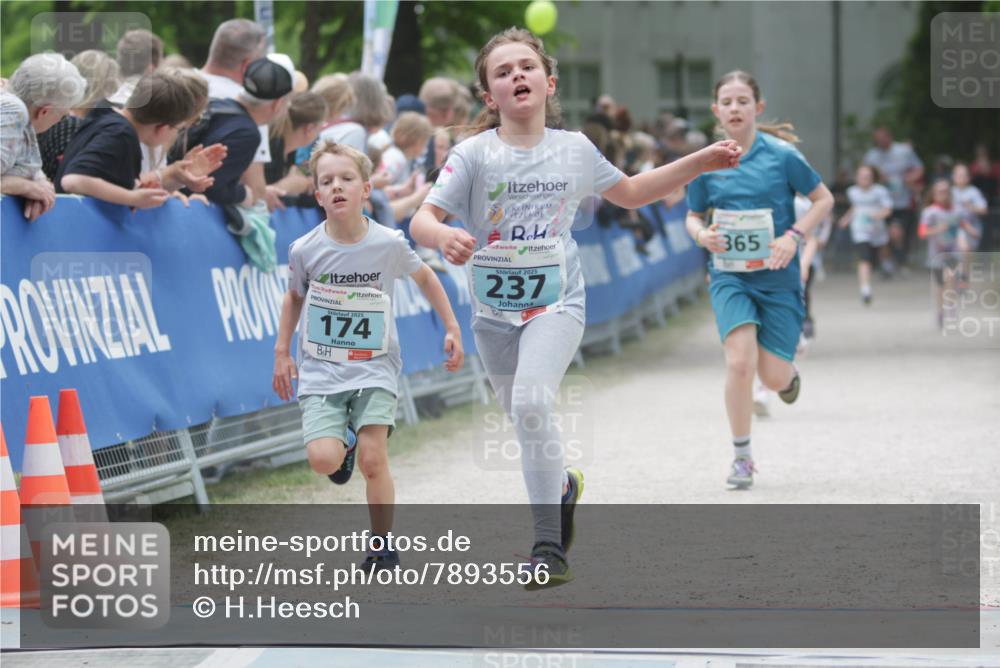 17.05.2025 - Störlauf H.Heesch http://msf.ph/oto/7893556 17.05.2025 13:43:03 Ziel 174, 2025, 237, 365 meine-sportfotos.de