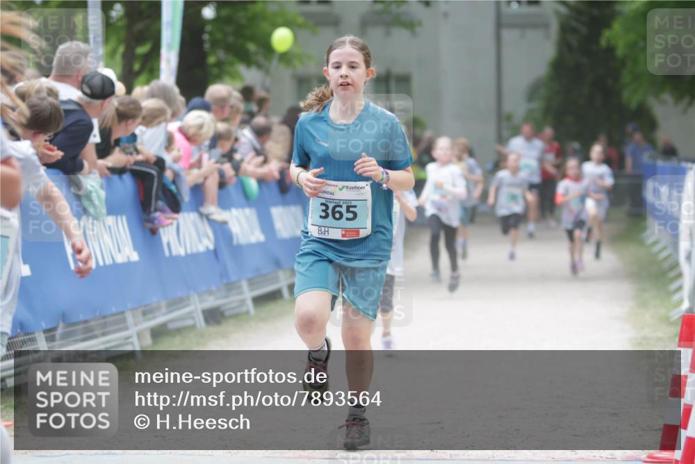 17.05.2025 - Störlauf H.Heesch http://msf.ph/oto/7893564 17.05.2025 13:43:04 Ziel 2025, 365 meine-sportfotos.de