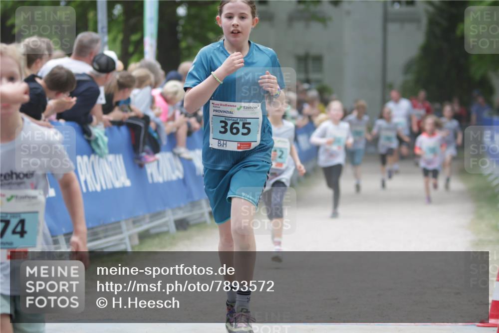 17.05.2025 - Störlauf H.Heesch http://msf.ph/oto/7893572 17.05.2025 13:43:04 Ziel 74, 2025, 365, 2 meine-sportfotos.de