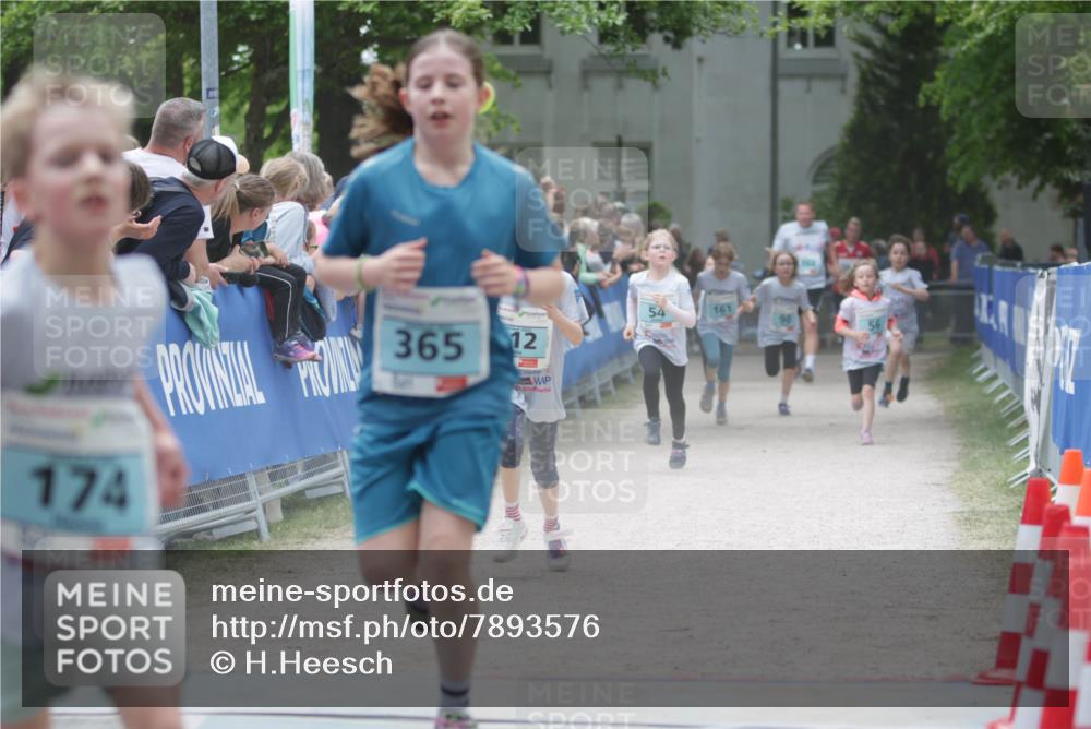 17.05.2025 - Störlauf H.Heesch http://msf.ph/oto/7893576 17.05.2025 13:43:05 Ziel 174, 365, 12, 54, 161 meine-sportfotos.de
