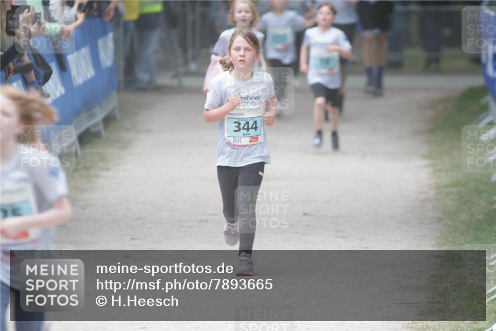 17.05.2025 - Störlauf H.Heesch http://msf.ph/oto/7893665 17.05.2025 13:43:37 Ziel 2025, 344, 91 meine-sportfotos.de
