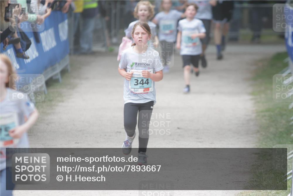 17.05.2025 - Störlauf H.Heesch http://msf.ph/oto/7893667 17.05.2025 13:43:37 Ziel 202, 344 meine-sportfotos.de