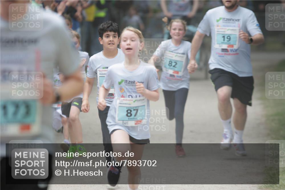17.05.2025 - Störlauf H.Heesch http://msf.ph/oto/7893702 17.05.2025 13:43:47 Ziel 173, 87, 82, 19 meine-sportfotos.de