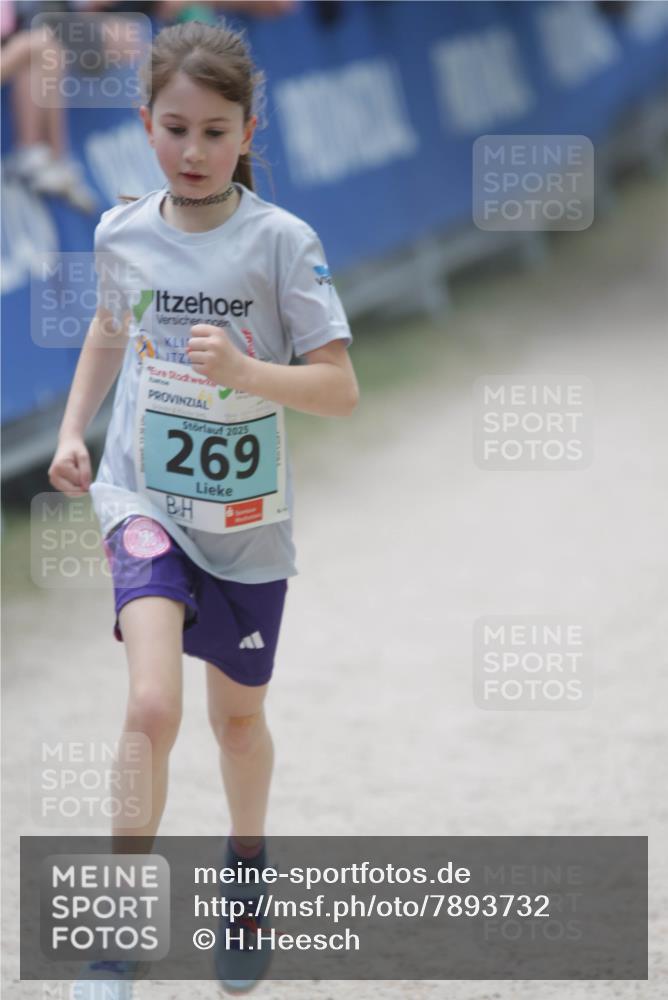 17.05.2025 - Störlauf H.Heesch http://msf.ph/oto/7893732 17.05.2025 13:43:58 Ziel 2025, 269 meine-sportfotos.de