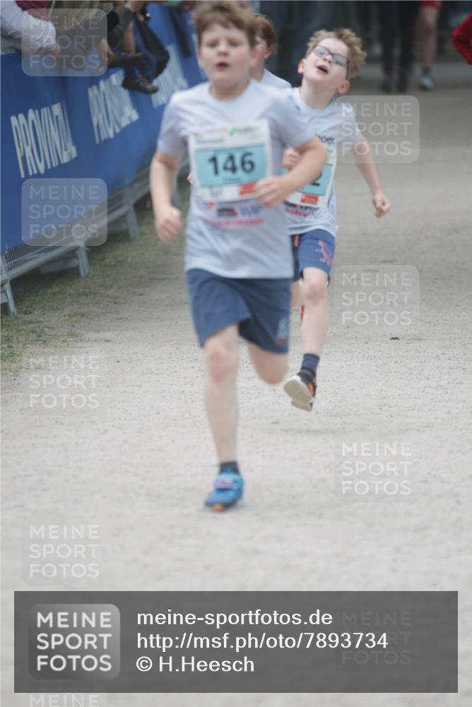 17.05.2025 - Störlauf H.Heesch http://msf.ph/oto/7893734 17.05.2025 13:43:59 Ziel 146 meine-sportfotos.de