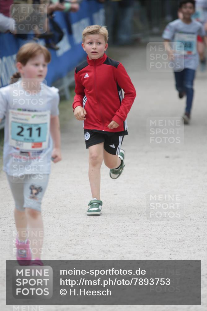17.05.2025 - Störlauf H.Heesch http://msf.ph/oto/7893753 17.05.2025 13:44:02 Ziel 211, 233 meine-sportfotos.de