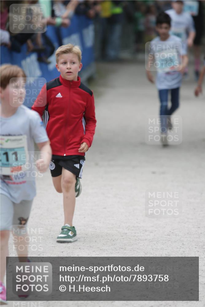 17.05.2025 - Störlauf H.Heesch http://msf.ph/oto/7893758 17.05.2025 13:44:03 Ziel 11 meine-sportfotos.de