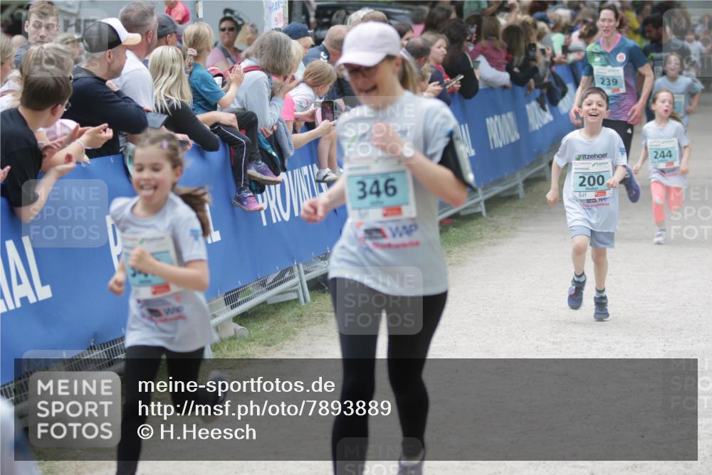17.05.2025 - Störlauf H.Heesch http://msf.ph/oto/7893889 17.05.2025 13:44:48 Ziel 346, 200, 239, 244 meine-sportfotos.de