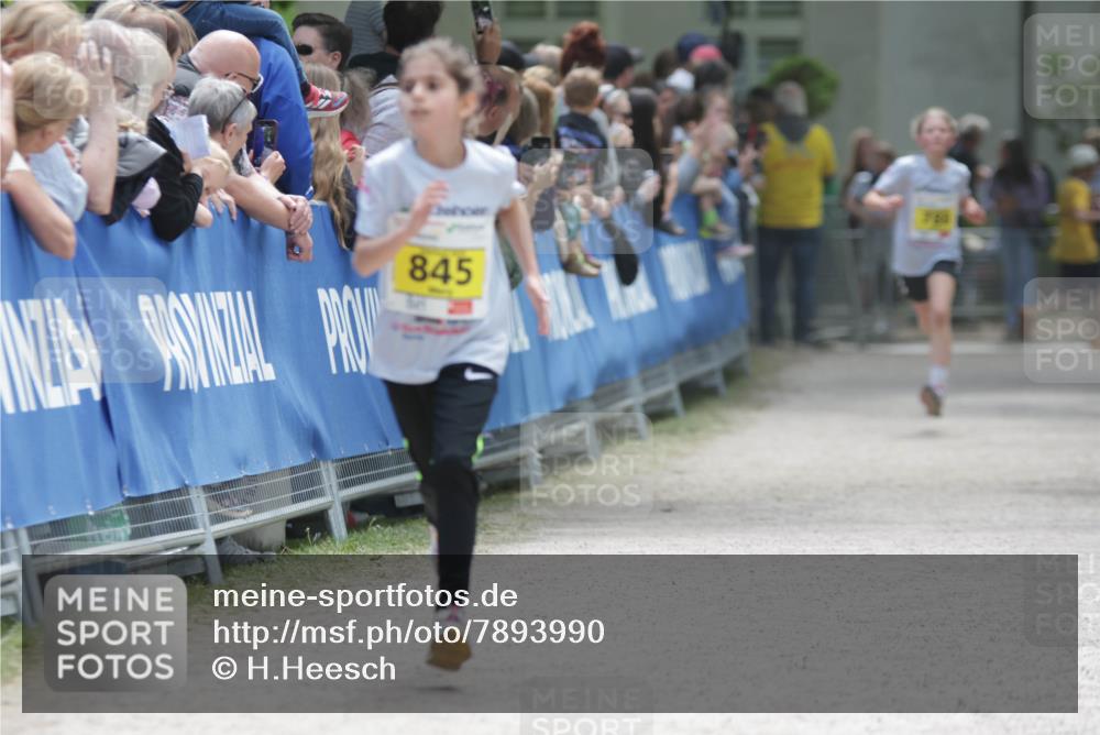 17.05.2025 - Störlauf H.Heesch http://msf.ph/oto/7893990 17.05.2025 14:11:19 Ziel 845, 700 meine-sportfotos.de