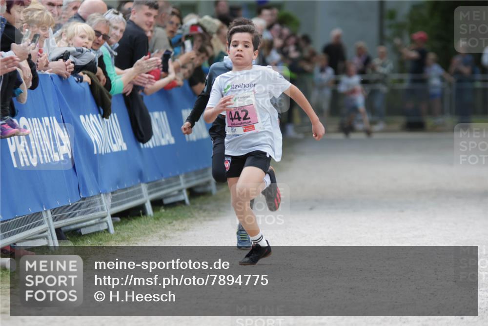 17.05.2025 - Störlauf H.Heesch http://msf.ph/oto/7894775 17.05.2025 13:54:27 Ziel 2025, 442 meine-sportfotos.de